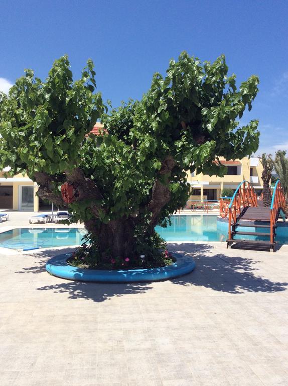 Angelos Beach Hotel 팔리라키 외부 사진